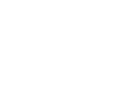 Samuray Sword